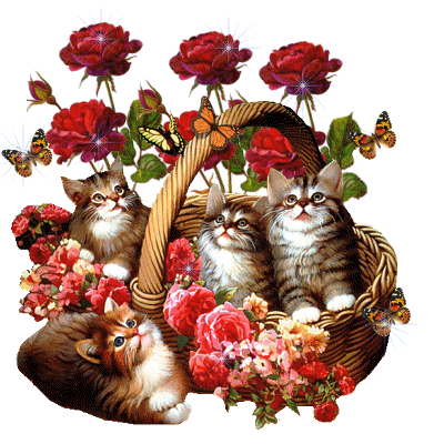 cicak.gif